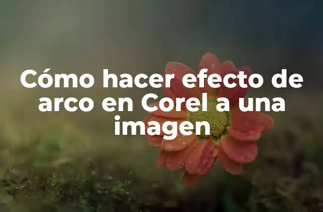¿Qué es el efecto de arco en Corel y para qué sirve?