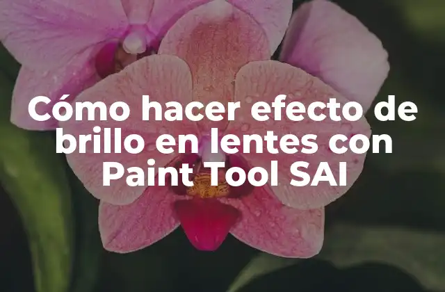 Cómo Hacer Efecto de Brillo en Lentes con Paint Tool Sai