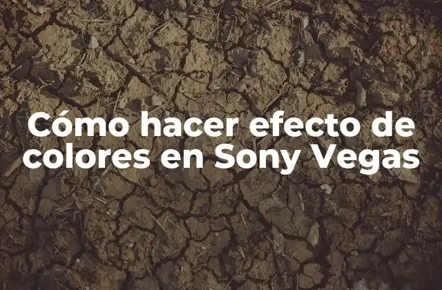 Cómo Hacer Efecto de Colores en Sony Vegas