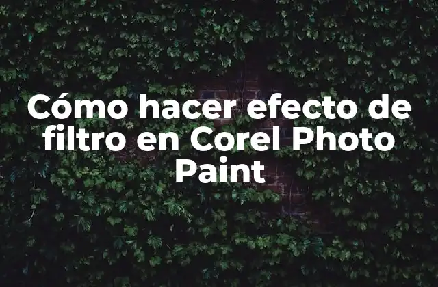 Cómo Hacer Efecto de Filtro en Corel Photo Paint 2 ¿Qué es un efecto de filtro en Corel Photo Paint?
