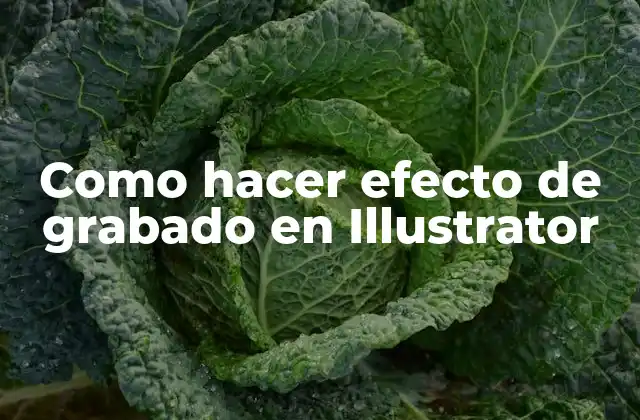 Como Hacer Efecto de Grabado en Illustrator
