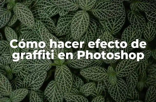 Cómo hacer efecto de graffiti en Photoshop