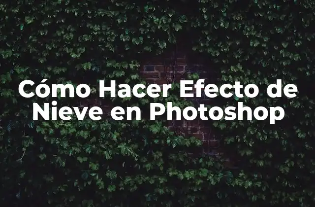 Cómo Hacer Efecto de Nieve en Photoshop