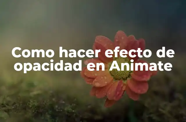 Efecto de opacidad en Animate