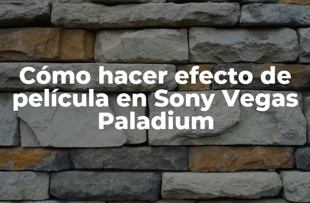 Cómo Hacer Efecto de Película en Sony Vegas Paladium