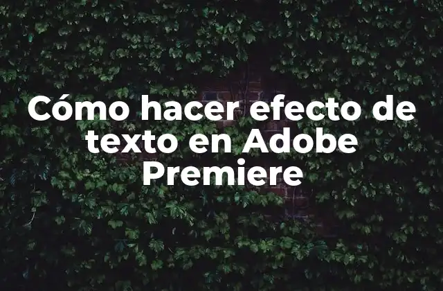 Cómo Hacer Efecto de Texto en Adobe Premiere