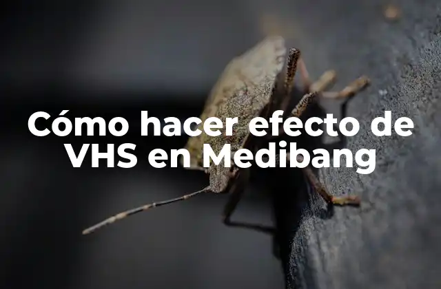 Cómo Hacer Efecto de Vhs en Medibang