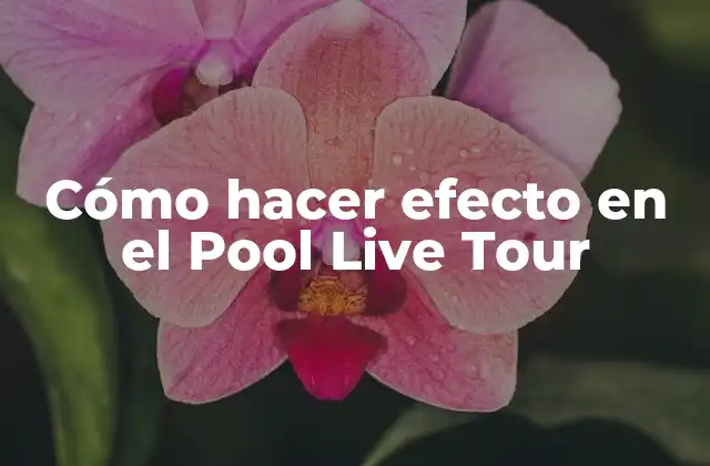 Cómo Hacer Efecto en el Pool Live Tour
