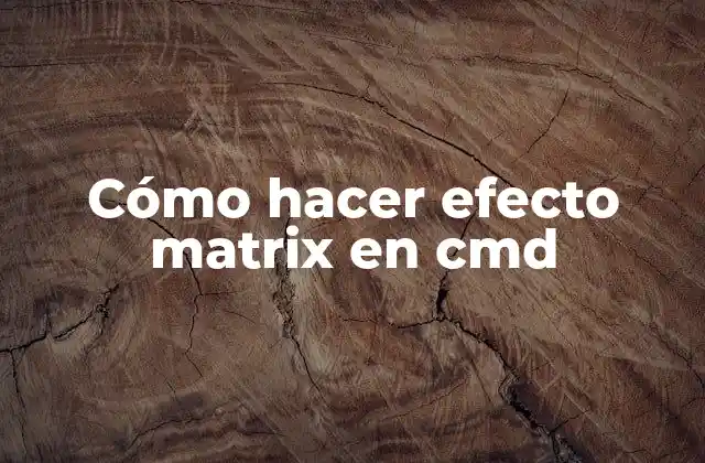 Cómo Hacer Efecto Matrix en Cmd