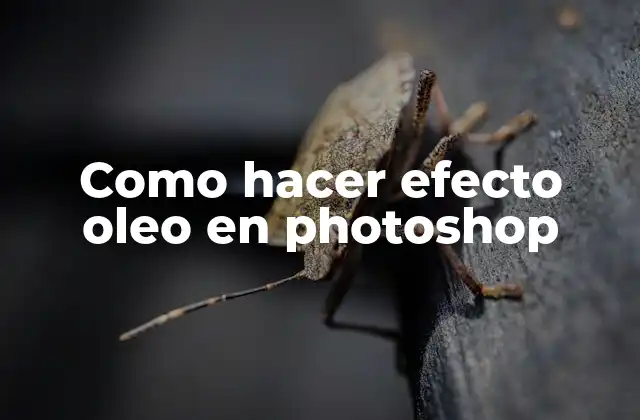 Como Hacer Efecto Oleo en Photoshop
