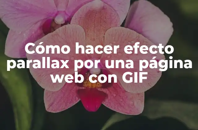 Cómo Hacer Efecto Parallax por una Página Web con Gif