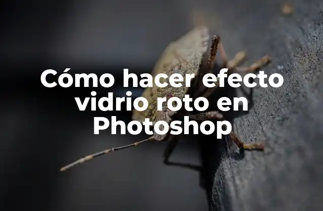 Cómo Hacer Efecto Vidrio Roto en Photoshop
