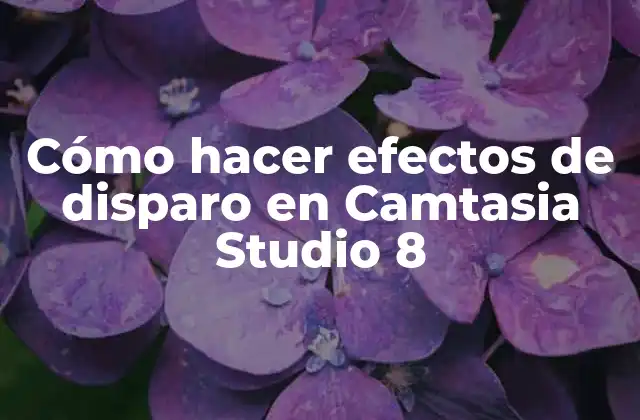 Efectos de disparo en Camtasia Studio 8