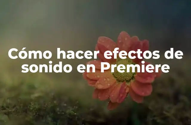 Cómo Hacer Efectos de Sonido en Premiere 2 Cómo hacer efectos de sonido en Premiere
