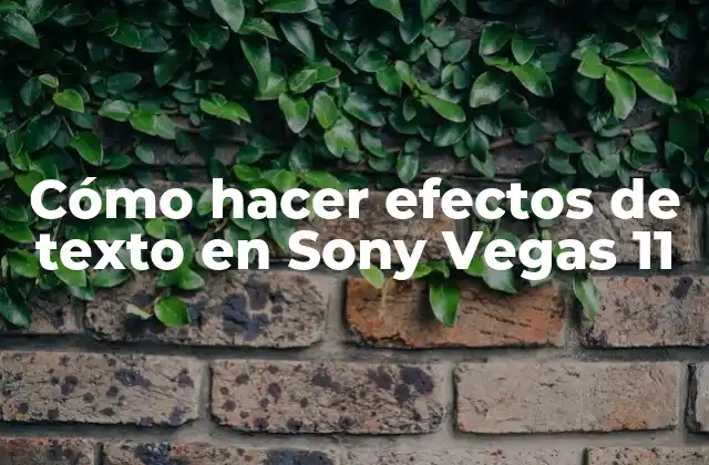 Efectos de texto en Sony Vegas 11