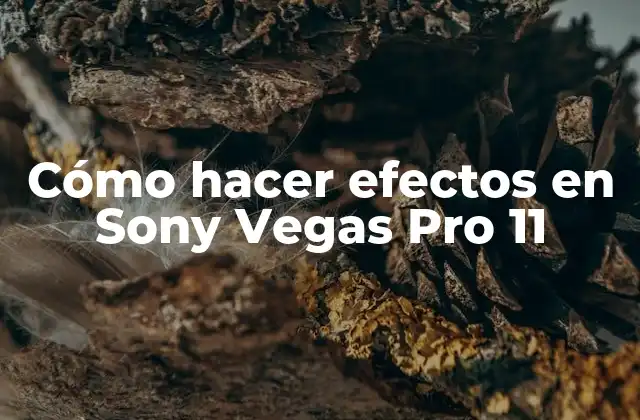 Cómo Hacer Efectos en Sony Vegas Pro 11