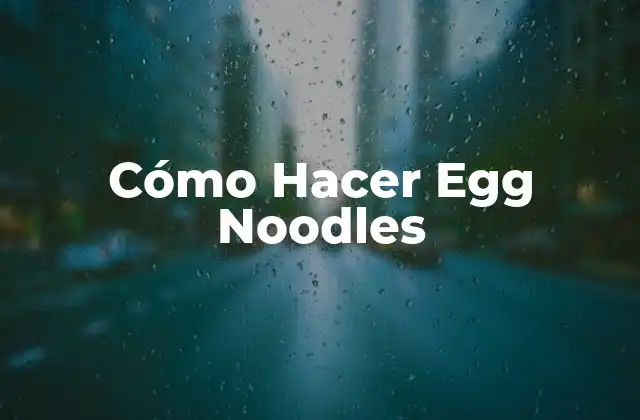 ¿Qué Son los Egg Noodles?