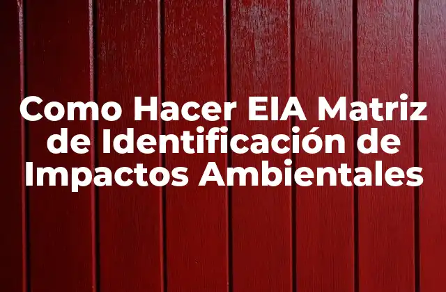 Como Hacer Eia Matriz de Identificación de Impactos Ambientales 2 ¿Qué es una EIA Matriz de Identificación de Impactos Ambientales?
