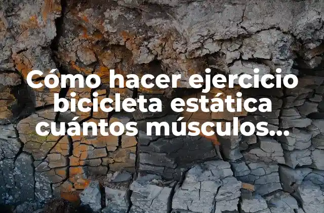 Cómo Hacer Ejercicio Bicicleta Estática Cuántos Músculos Trabaja 2 Cómo hacer ejercicio bicicleta estática cuántos músculos trabaja