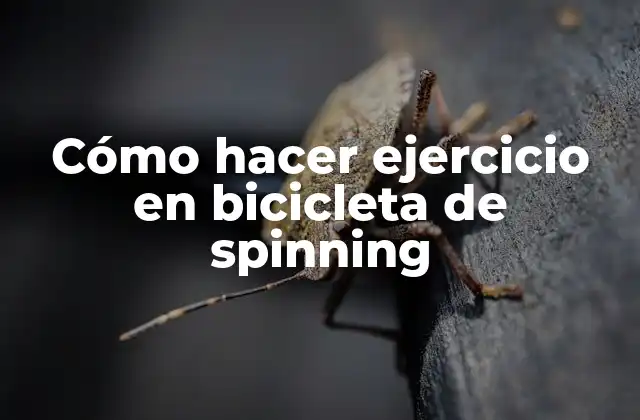 Cómo Hacer Ejercicio en Bicicleta de Spinning 2 ¿Qué es el spinning y para qué sirve?