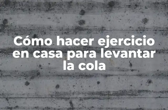 Cómo Hacer Ejercicio en Casa para Levantar la Cola
