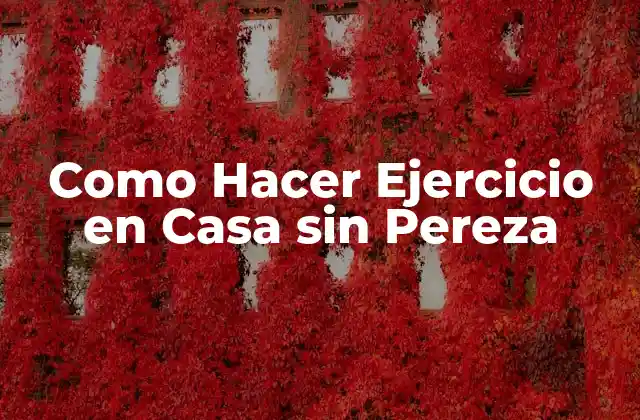 Como Hacer Ejercicio en Casa sin Pereza 2 Como Hacer Ejercicio en Casa sin Pereza - ¿Qué es y para qué sirve?