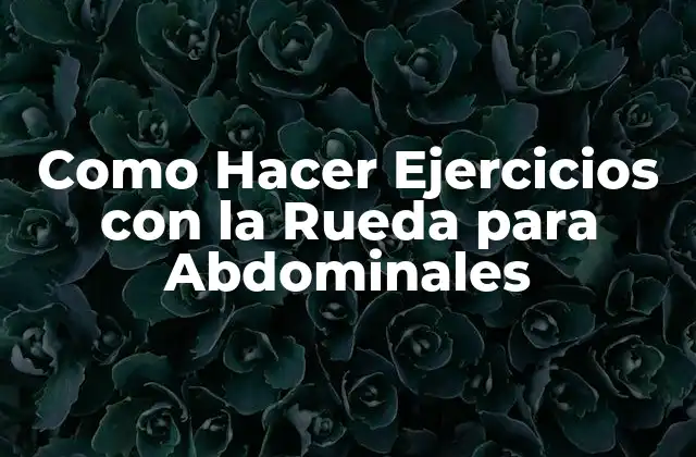 Como Hacer Ejercicios con la Rueda para Abdominales