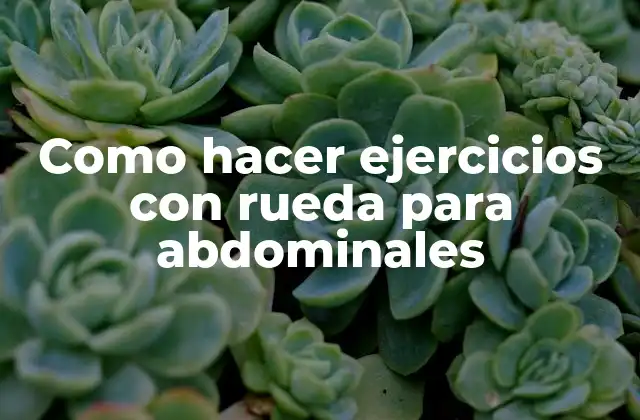 Como Hacer Ejercicios con Rueda para Abdominales