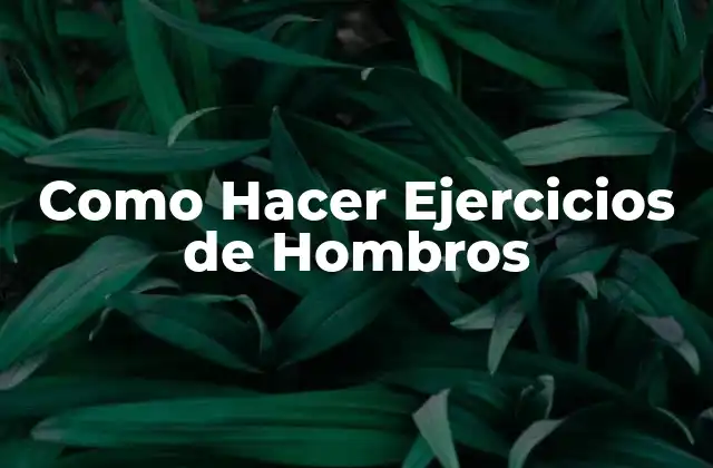 Como Hacer Ejercicios de Hombros 2 Ejercicios de Hombros