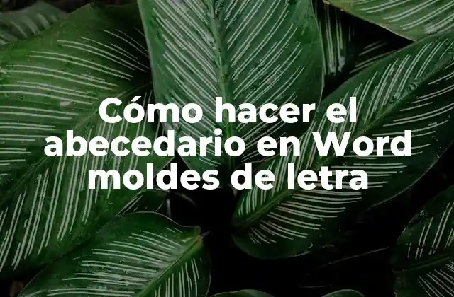Cómo Hacer el Abecedario en Word Moldes de Letra 2 Cómo hacer el abecedario en Word moldes de letra