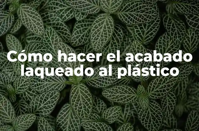 Cómo Hacer el Acabado Laqueado Al Plástico