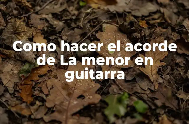 Como Hacer el Acorde de la Menor en Guitarra