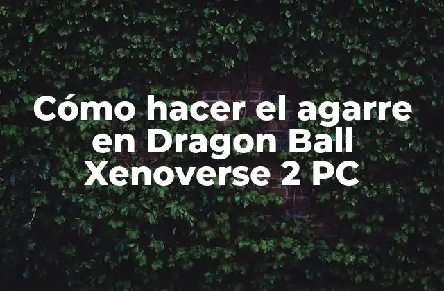 Cómo Hacer el Agarre en Dragon Ball Xenoverse 2 Pc 2 El agarre en Dragon Ball Xenoverse 2 PC: ¿Qué es y cómo se usa?