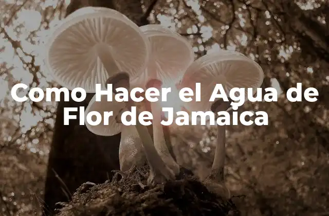 Como Hacer el Agua de Flor de Jamaica