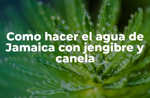 Como Hacer el Agua de Jamaica con Jengibre y Canela