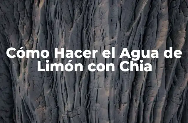 Cómo Hacer el Agua de Limón con Chia