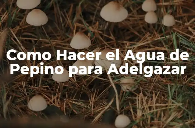 ¿Qué es el Agua de Pepino y Cómo Funciona para Adelgazar?