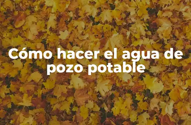 Cómo Hacer el Agua de Pozo Potable