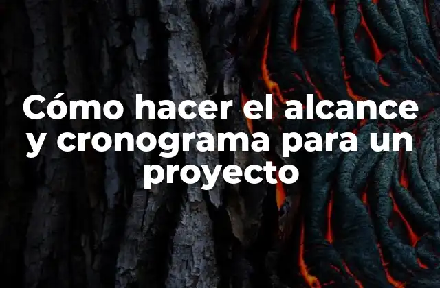 Cómo Hacer el Alcance y Cronograma para un Proyecto