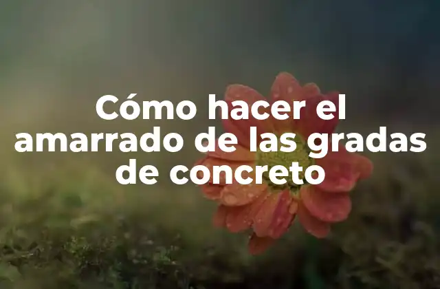 Cómo Hacer el Amarrado de las Gradas de Concreto 2 Cómo hacer el amarrado de las gradas de concreto