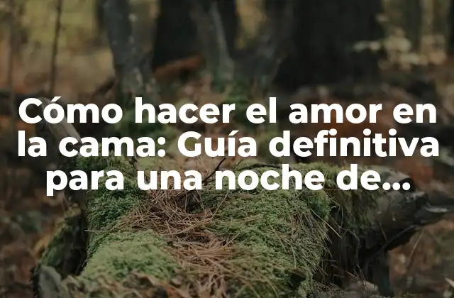 Cómo Hacer el Amor en la Cama: Guía Definitiva para una Noche de Pasión