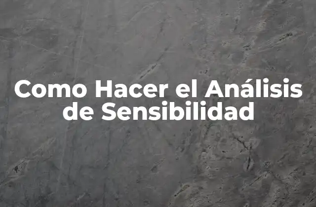 Como Hacer el Análisis de Sensibilidad