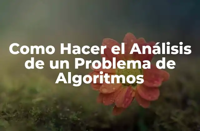 Como Hacer el Análisis de un Problema de Algoritmos