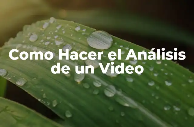 Como Hacer el Análisis de un Video