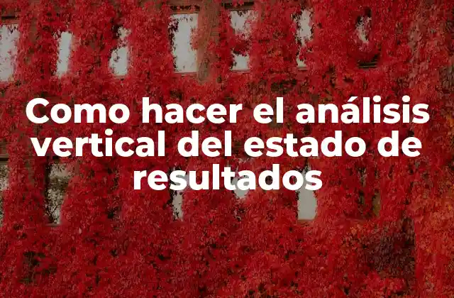 Como Hacer el Análisis Vertical Del Estado de Resultados