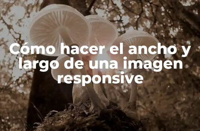 Cómo Hacer el Ancho y Largo de una Imagen Responsive 2 ¿Qué es una imagen responsive?