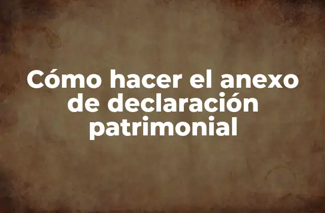 Cómo Hacer el Anexo de Declaración Patrimonial