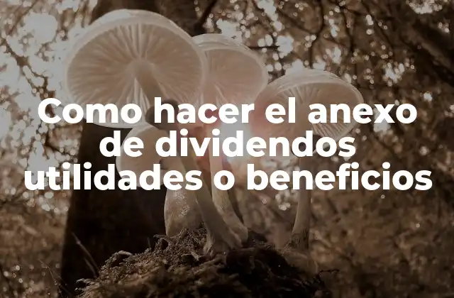 Como Hacer el Anexo de Dividendos Utilidades o Beneficios
