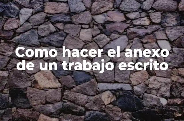 Como Hacer el Anexo de un Trabajo Escrito