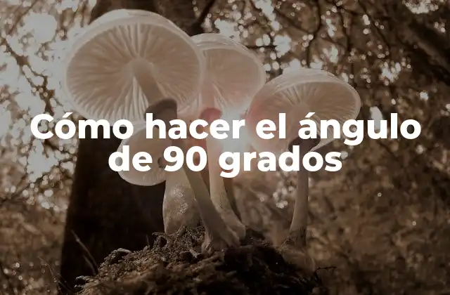 ¿Qué es un ángulo de 90 grados?